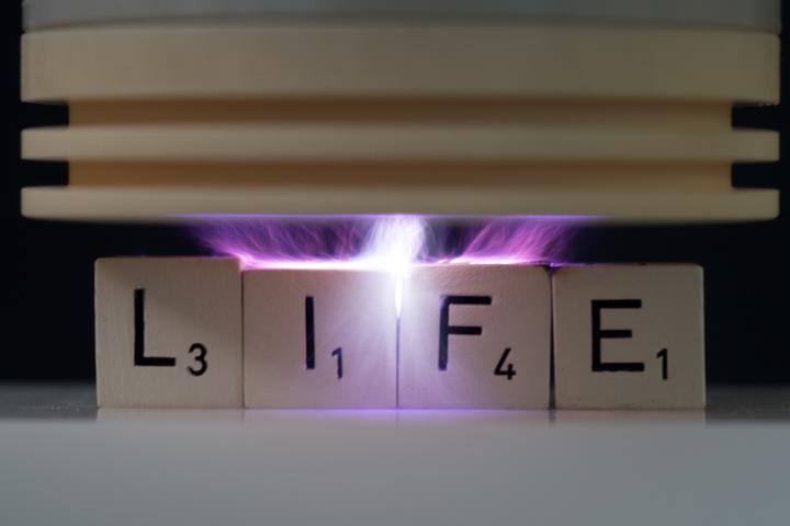 Slide 6