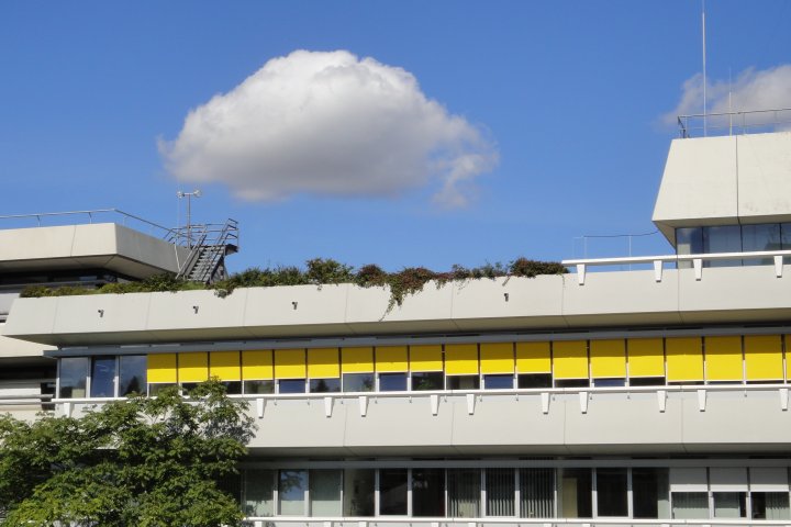 Slide 6